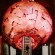 Extra Large Lanterns